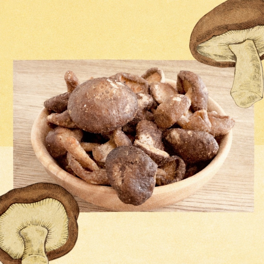 2026童心收藏計畫