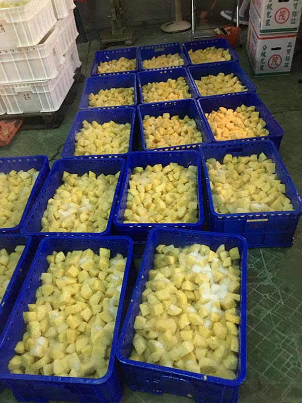 玉井之門  芭樂乾130g