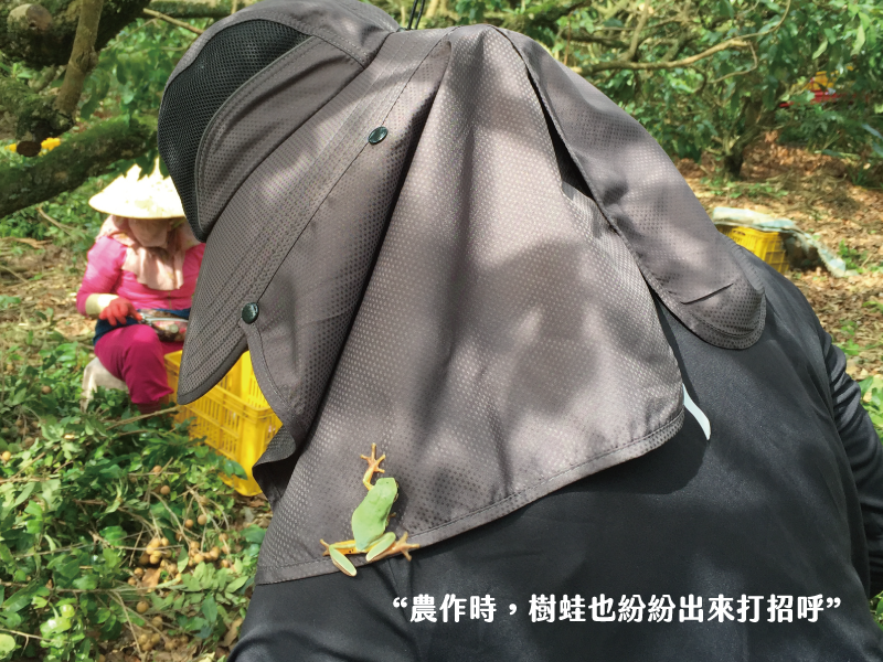 山頂壯圓  柴焙桂圓仙草銀耳露300g 山頂壯圓  柴焙桂圓仙草銀耳露300g