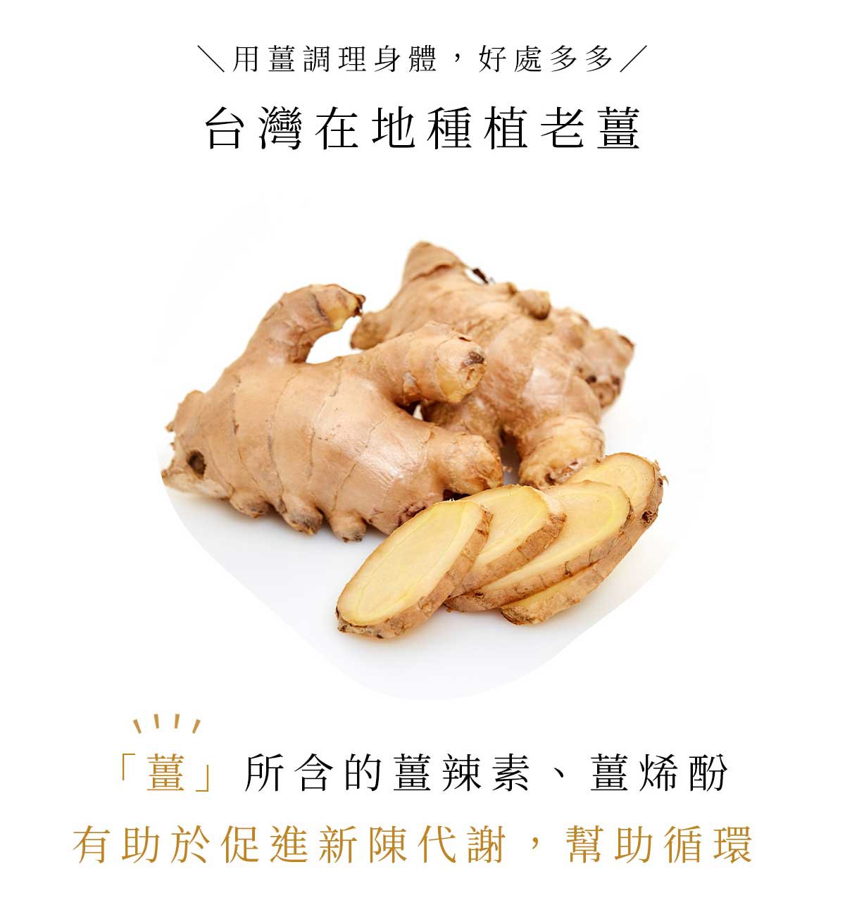 暖暖純手作 紅棗黑糖薑母茶230g 暖暖純手作 紅棗黑糖薑母茶230g