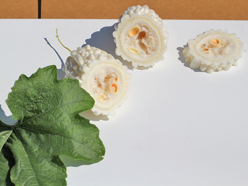 大目農田 純粹苦瓜水 350ml 大目農田 純粹苦瓜水 350ml