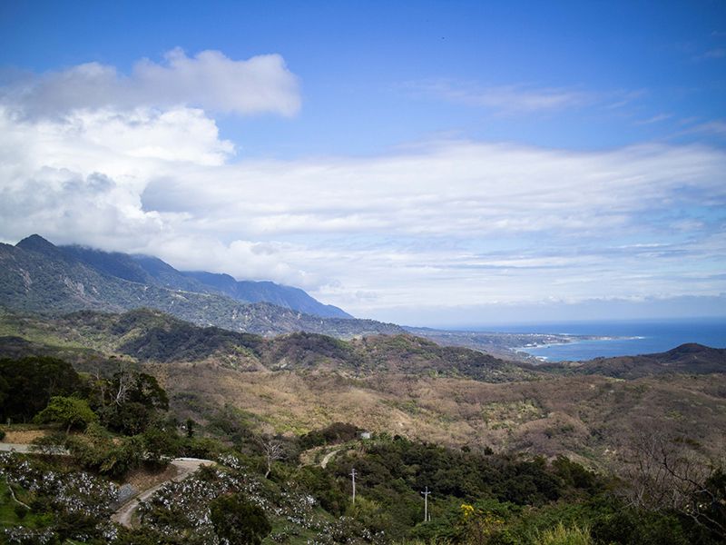 清亮生態農場 麻油薑200g 清亮生態農場 麻油薑200g