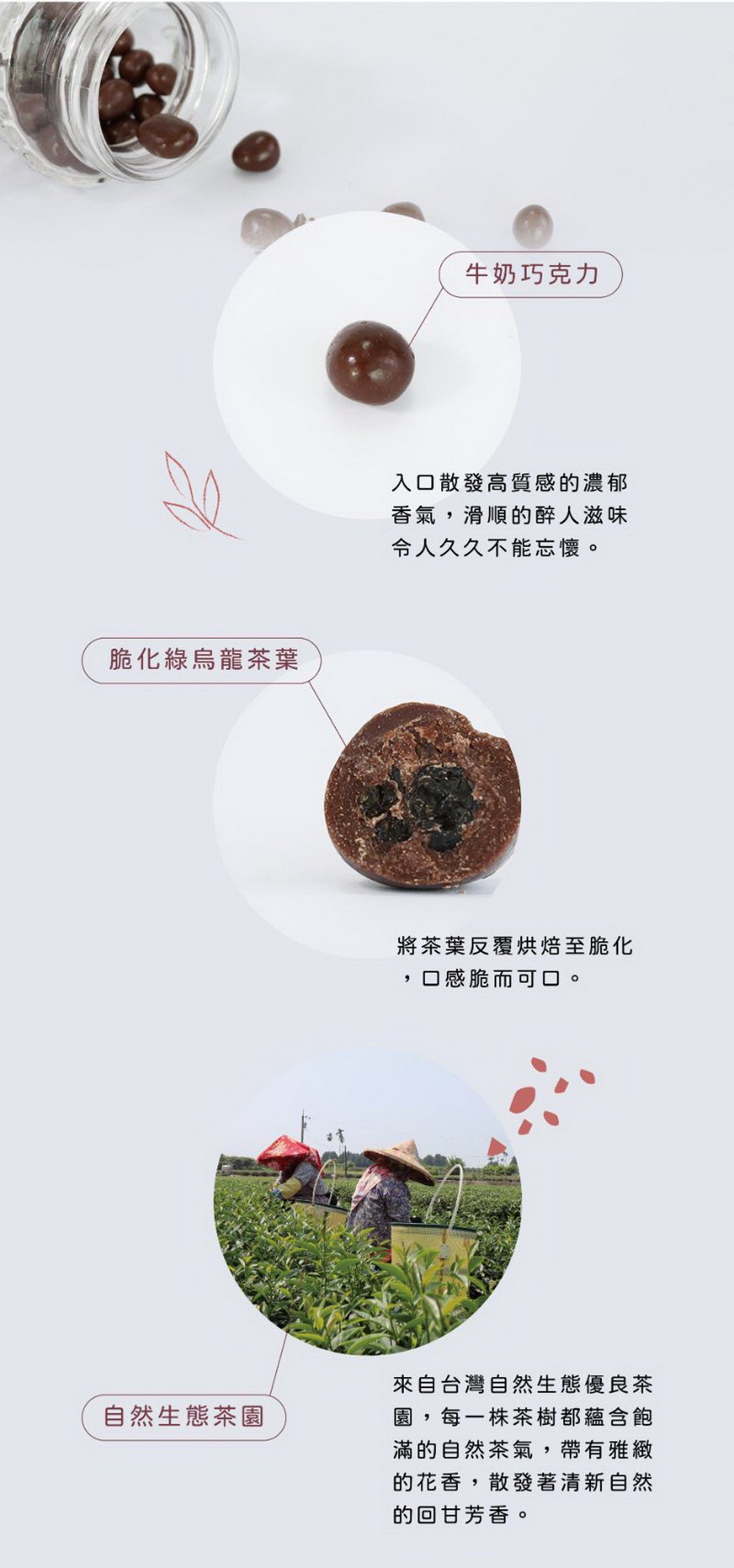 它好好Hapidae 綠烏龍牛奶巧克力