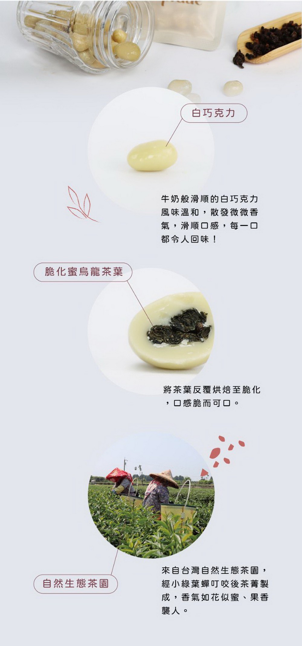 它好好Hapidae 蜜烏龍白巧克力