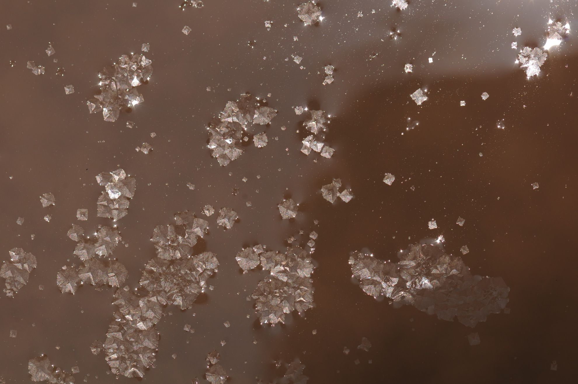 洲南鹽場鹽花40g