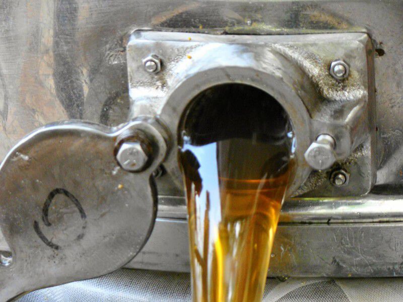 蜂之饗宴原野/龍眼花蜂蜜320g