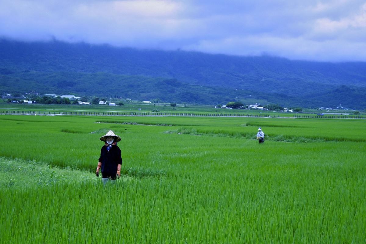 池上鄉農會 池上米餅 椒鹽 150公克 池上鄉農會 池上米餅 椒鹽 150公克