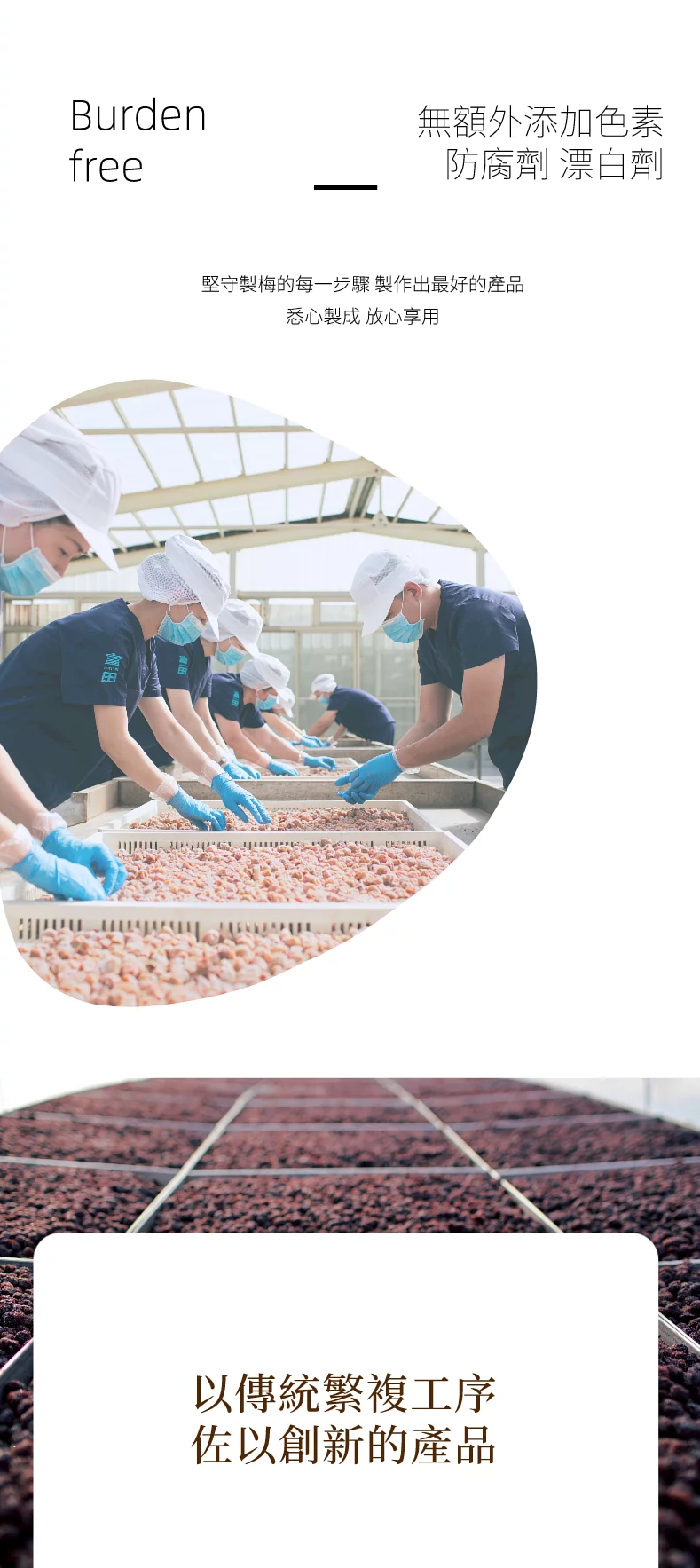 富田梅片  冰釀風味3包入