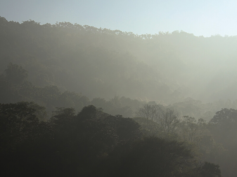 樂果村秀珍菇酥80g(原味/芥末) 樂果村秀珍菇酥80g(原味/芥末)