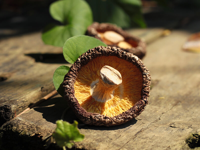 樂果村秀珍菇酥80g(原味/芥末) 樂果村秀珍菇酥80g(原味/芥末)