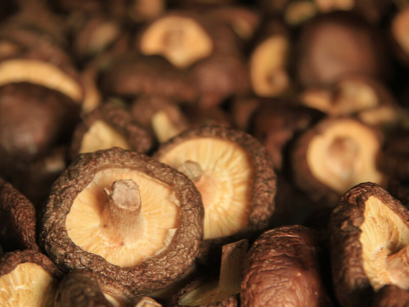 樂果村秀珍菇酥80g(原味/芥末) 樂果村秀珍菇酥80g(原味/芥末)