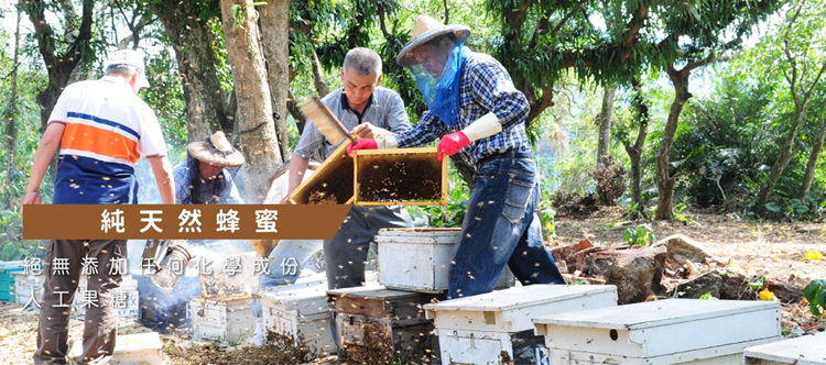 蜜蜂故事館台灣嚴選玉山雪泉蜜240g 蜜蜂故事館台灣嚴選玉山雪泉蜜240g