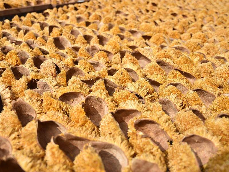 飲花果阿里山愛玉子 32g 飲花果阿里山愛玉子 32g