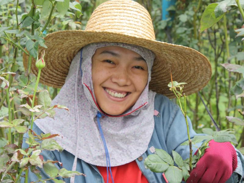 玫開四度玫瑰花瓣醬190g 玫開四度玫瑰花瓣醬190g