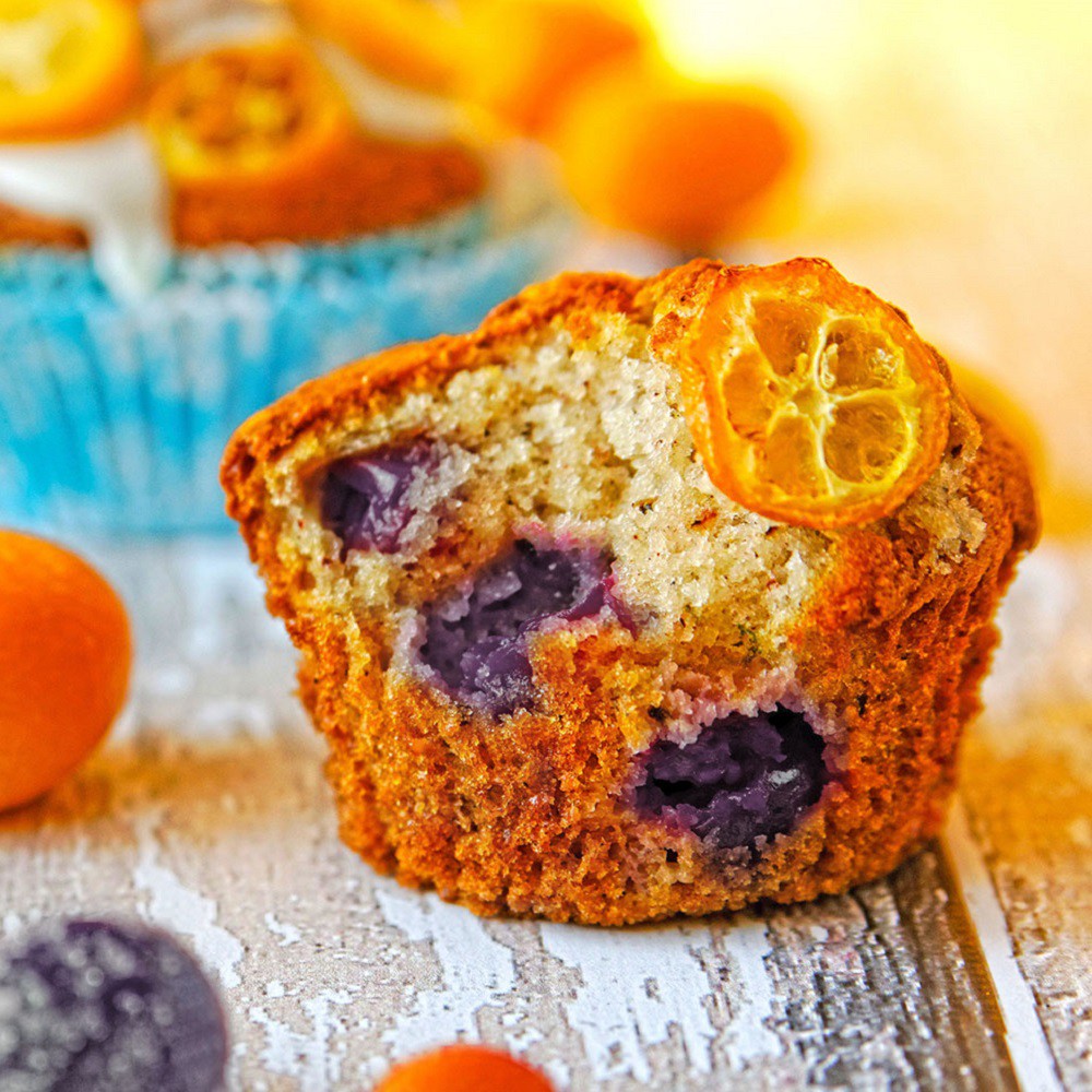 民雄金桔 金桔果片100g 民雄金桔 金桔果片100g