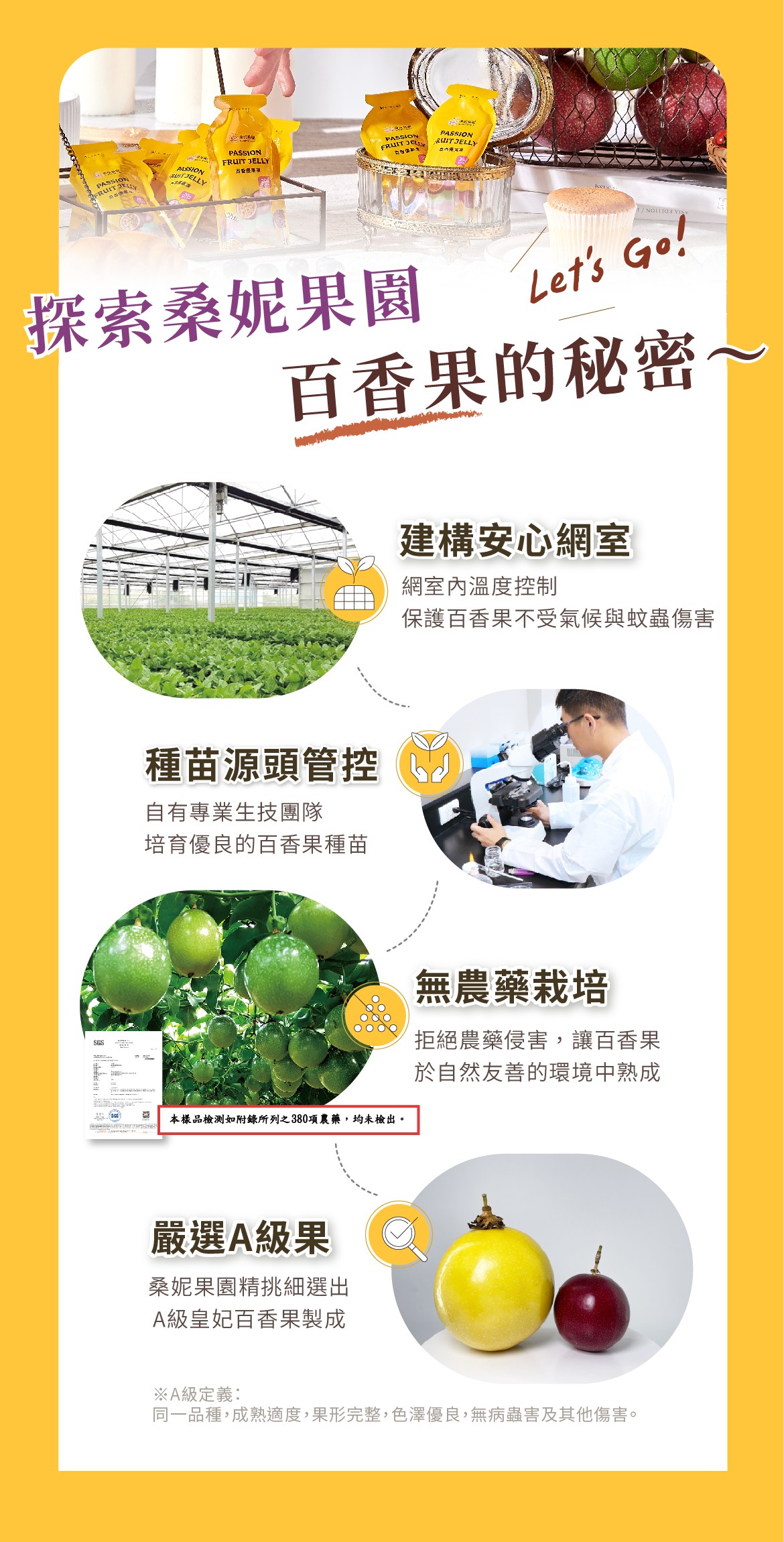  桑妮果園  皇妃百香優果凍600g