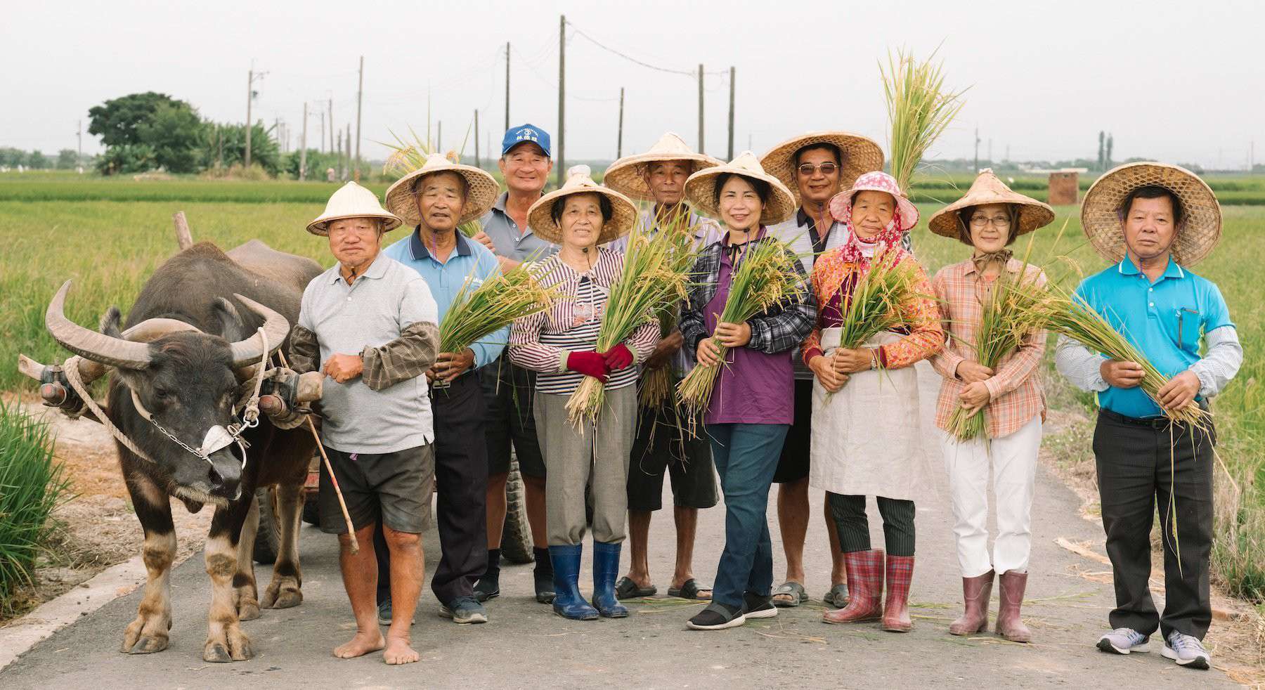 無米樂 香米餅濃芝麻132g 無米樂 香米餅濃芝麻132g