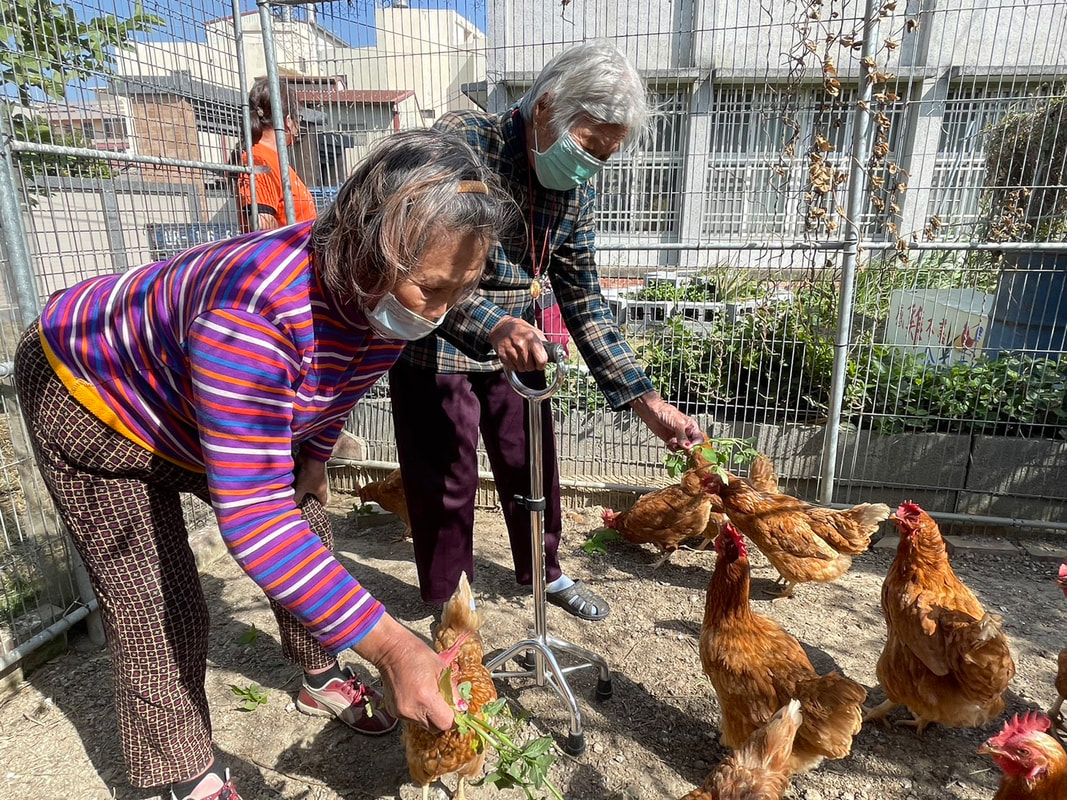 讓愛傳遞|銀髮人生,持續精彩 讓愛傳遞|銀髮人生,持續精彩