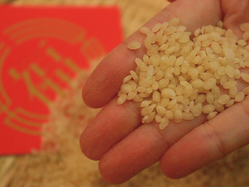 山城裡的米香舖│奮起福米餅