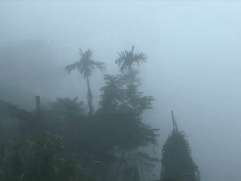 山城裡的米香舖│奮起福米餅 山城裡的米香舖│奮起福米餅