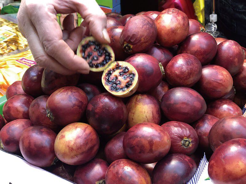 山城裡的米香舖│奮起福米餅