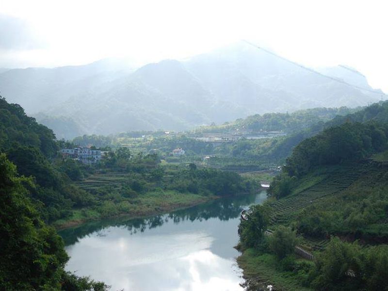守護土地的│臺灣藍鵲茶 守護土地的│臺灣藍鵲茶