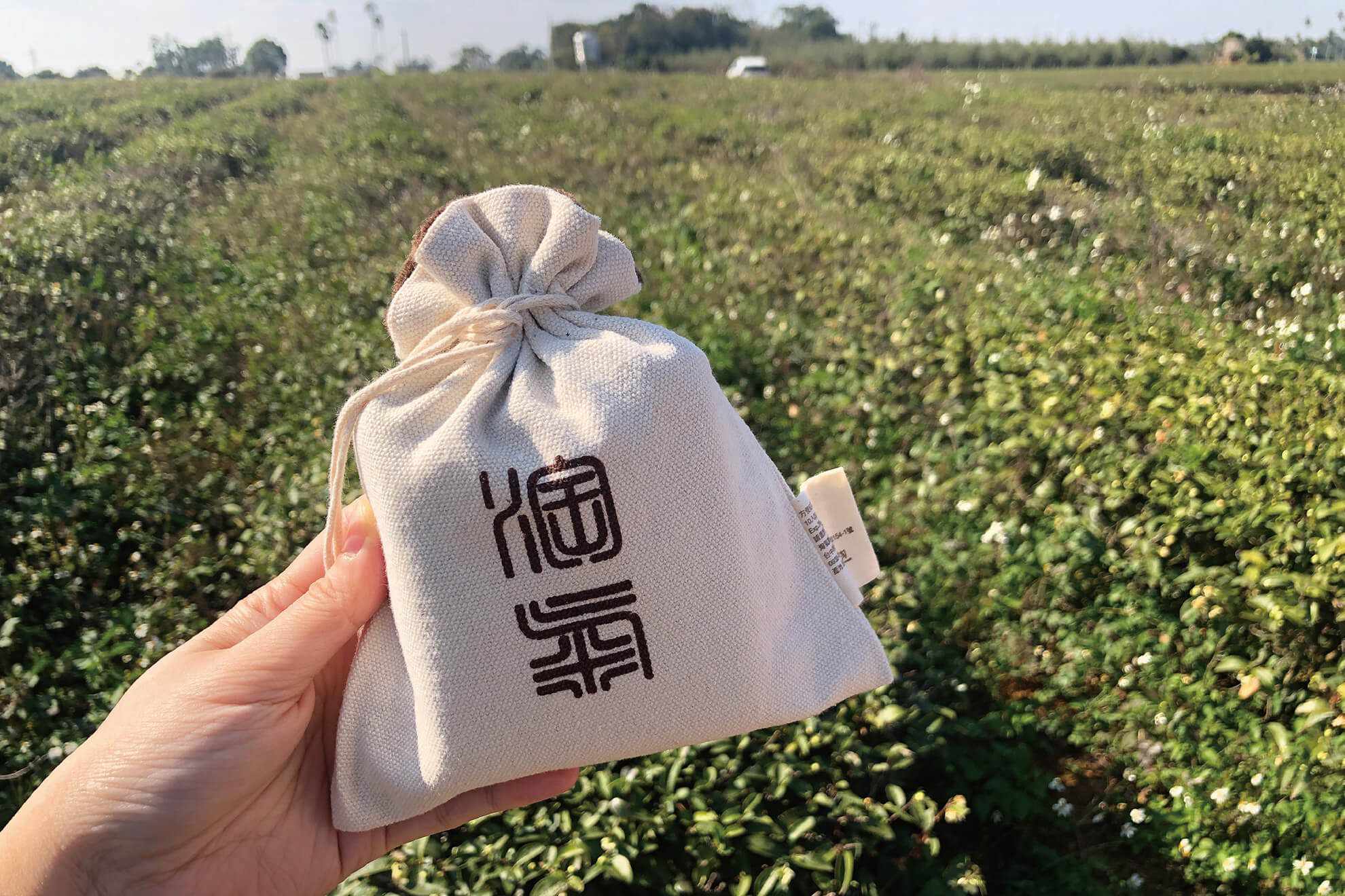 與雜草相處的生存之道｜淘氣小農