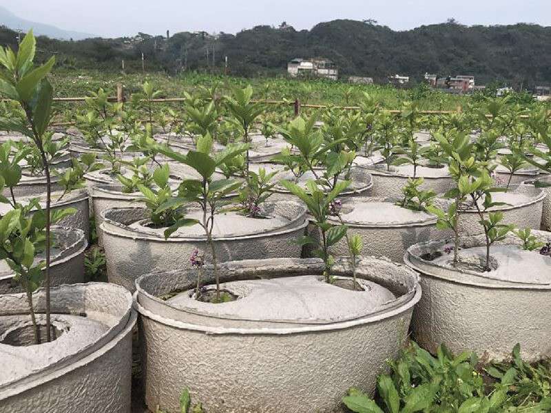 讓少塑變多數的生活|仁舟淨塑 讓少塑變多數的生活|仁舟淨塑